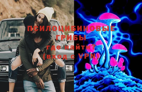 гидропоника Карталы