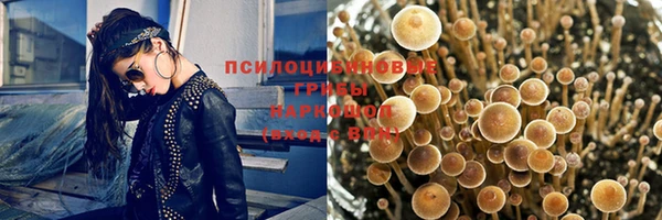 гидропоника Карталы