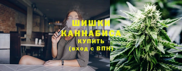 гидропоника Карталы