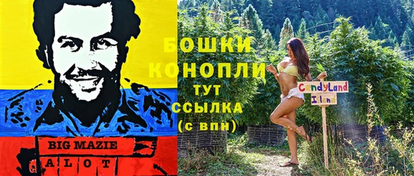 стафф Каменногорск