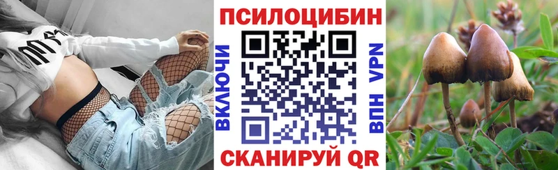 Купить где  Зеленоградск  Псилоцибиновые грибы Cubensis 